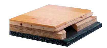 ZETA SYSTEM FTS FITNESS