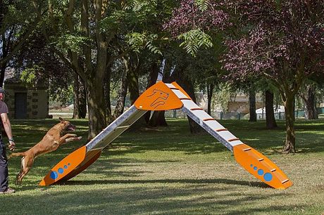 R9030_Ejercicio_empalizada_conforme_a_la_Federación_Canina_01